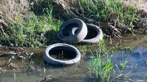 A large number of tyres can be seen half submerged along Coalisland Canal