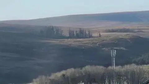 A phone masts protrudes from trees with a vast moorland landscape behind.