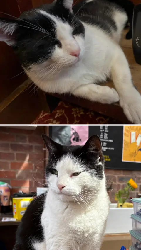 Murphy and Fargo