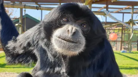 Xhabu staring directly at the camera