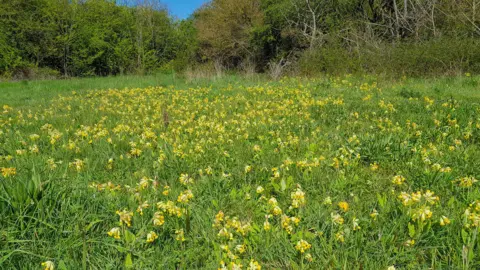 Meadow Park, in East Leake