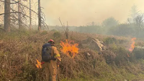 A firefighter dressed in a brown suit with a black backpack on and a red hat putting out a fire in a wooded and grassy area.