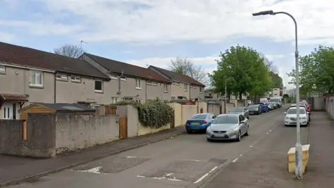 A road with homes behind a row of cars and trees. There are lampposts along the street and a car.