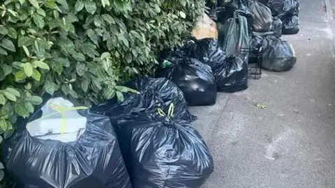 Steven Message A row of black binbags lined up on a street underneath some bushes