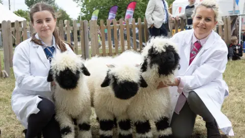 A Gorman Photography Two women in white coats and black trousers hold three sheep with white wool and black faces and ears at the Bath and West Show