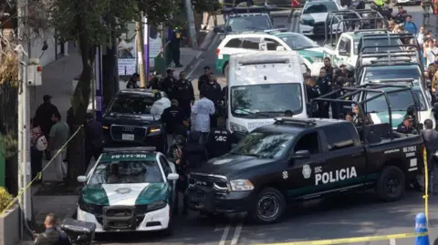 Reuters A black Audi with bullet holes in its windscreen is surrounded by police cars and SUVs. Crime scene tape has been strung around the cars and a man in a lab coat can be seen next to the car.