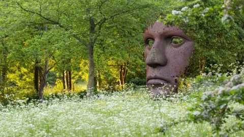 A huge metallic face sculpture placed among wildflowers. It features just the mouth, nose and eyes and cuts off before the brow. It is rust-coloured and rests behind a meadow of white cow parsley-type plants. There are trees beyond.