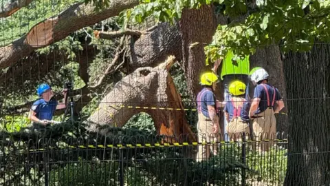 Nadira Tudor/BBC Emergency workers standing behind a cordon in order to inspect the fallen tree