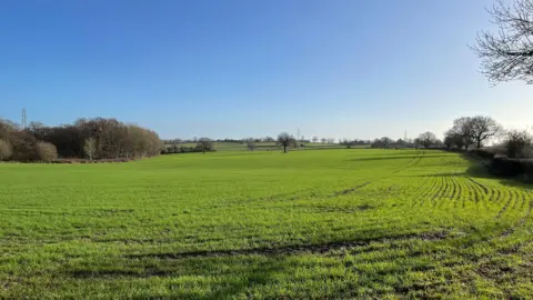 Large expanse of farmland with trees in the distance.