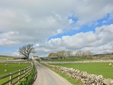 Andy artist A track flanked by fields leads to a farm. One one side is a drystone wall and on the other is a wooden fence. The sky above is blue with large fluffy clouds. Sheep are grazing serenely. 