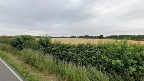 Google A field behind a hedgerow