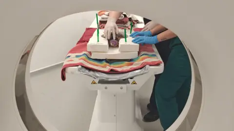 Sea Life Weymouth The shot is taken from within the CT scanner, showing the circular opening, beyond which Crush the turtle can be seen. She is being placed in a polystyrene container.