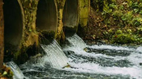 Water flowing out of three concrete pipes into river