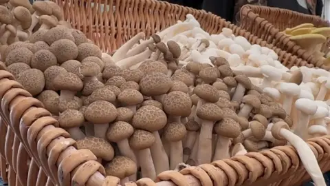 A large number of mushrooms in a basket.