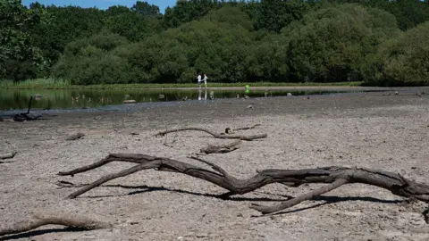 Anadolu via Getty Images A view of the cracked, parched earth of Stew Pond exposed following an extended period of high temperatures and severe drought conditions at Epsom Common in Surrey, England, on 11 August, 2026.