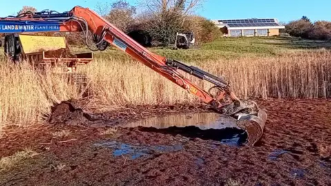 ELMS Contracting Ltd. An orange floating digger clearing invasive succulent plant out of the water. The plant is a dark brown colour covering most of the surface of the lake. 