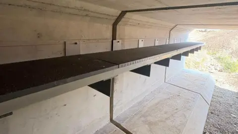 A ledge built in a culvert which is designed to provide a safe passage for mammals underneath a road. The culvert is brand new and there is no water in it. At the end a mound of earth is visible. It is a sunny day.