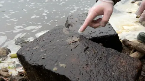 A gloved hand is pointing at a rock next to the edge of a river, on which a slimy grey-brown growth is visible.