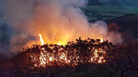 Wildfire at Rogart