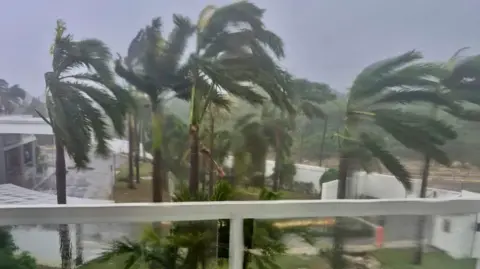 Stephen Ramsden The hurricane bends palm trees outside Stephen Ramsden's hotel in driving rain.