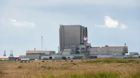 Hartlepool power station: an array of grey, concrete buildings with a tall, rectangular building at its centre. In the foreground, fields and cows can be seen.