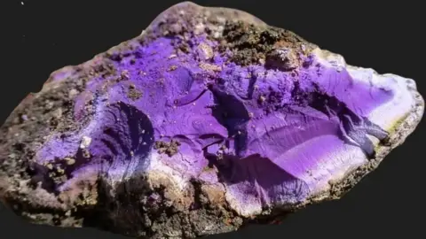 Frank Giecco The chunk of Tyrian purple, roughly the size of a ping pong ball, was dug up at Carlisle Cricket Club as part of ongoing yearly excavations.