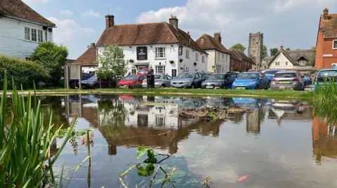 Village centre in the sun, with older houses and cottages, a pub and a large pond
