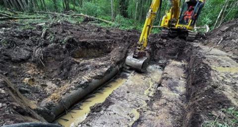 A yellow digger pulls up earth in a woodland to expose a leaking pipe submerged in murky water