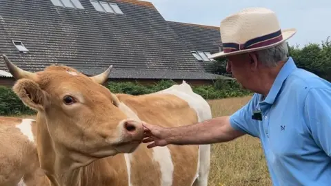 Major Beaumont pets a Guernsey cow on the snout in a field. He is wearing a blue polo top and a straw hat.
