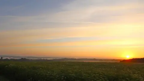 Peterborough Walks A yellow sunrise in between light blue skies and green fields beneath.