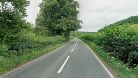 Google A screenshot from Google street view showing the A371 road where Michael Knowlson was killed in a car crash. It is a long road with a slight left curve, between lush green bushes, trees and fields.