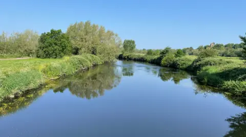 A photo of a river in Kingsbury Water Park in Warwickshire. The water occupies much of the bottom half of the photo and the image also includes trees and grass. 