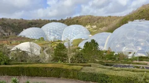 Large green houses that are bubble shaped with hedges and trees in the forefront. 