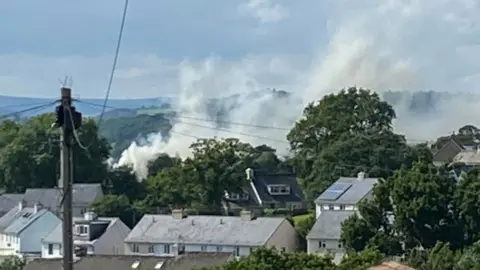 Brian Rees Smoke from a fire rises above trees and houses.