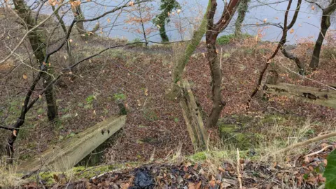 The view looking down at the beams from the path. Three beams can be seen. The middle beam has collapsed while the far right beam seems to have been damaged over time. The river can be seen at the bottom of the bank.