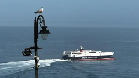 The Manannan fast craft ferry, which is white, black and red and has Steam-Packet.com on the side, sailing in Douglas Bay. There is a lamppost with a gull perched on top of it to the left.