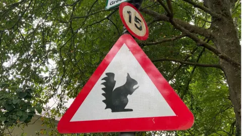 A road sign with a squirrel on it, with a small circular 15 mile per hour speed limit sign above it. There is a tree in the background. 