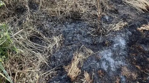 Northamptonshire Fire and Rescue Service A burnt area of woodland, showing charred ground. There is some grass around the edge.