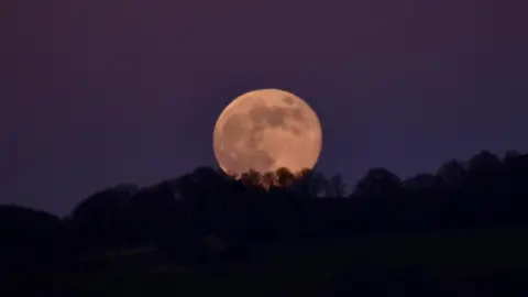 BBC Weather Watchers/Northumberland Em The full moon shines above trees in Hexham's dark purple sky.