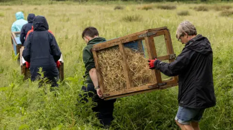 Steve Collins A group of people walking through a grassy field carrying large wooden crates filled with straw or hay. There are at least six people, dressed in outdoor clothing such as rain jackets, hooded coats, gloves, and waterproof gear.
