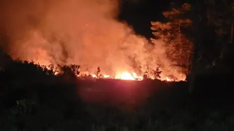 DWFRS A large fire on heathland can be seen just metres away. It illuminates the otherwise dark night sky.
