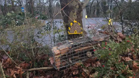 Ferrocarril Govia Thameslink. Un albergue para abejas negro y amarillo colgado de un árbol. Una jaula con madera también yace en el suelo. Al fondo se ve un aparcamiento y una carretera.