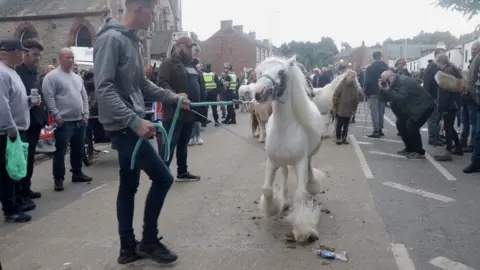 A traveller wrangling a horse at the Appleby horse fair