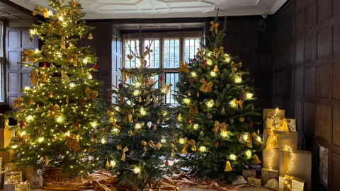 Three Christmas trees of varying sizes decorated with lights and festive decorations. There are piles of gold parcels neatly stacked on either side of the image.
