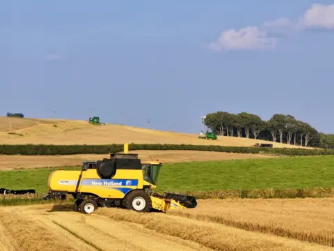 Rob Barrie Farm scene