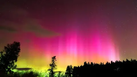 Meinir Lloyd Hughes The night sky, lit in pink, orange and yellow with the silhouetted trees below.