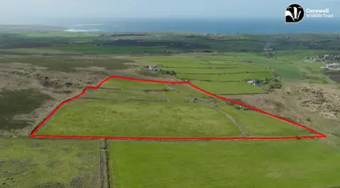 Cornwall Wildlife Trust A patchwork of fields on the coast is seen, with a large area outlined in red to indicate the parcel of land up for sale 
