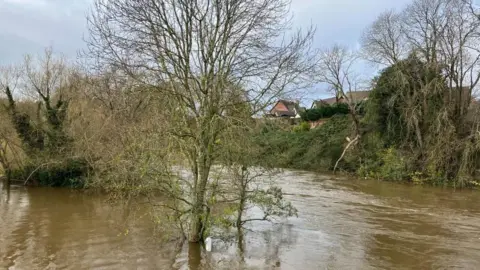 A river that has burst it banks and is submerging trees. Houses can be seen in the background above shrubbery where the water level is rising.