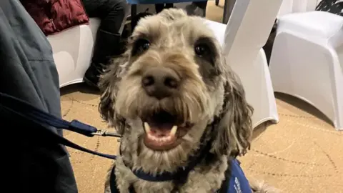 A black and white dog smiling in a conference room.