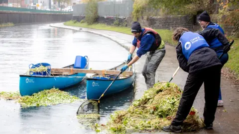 The Canal and River Trust Volunteers removing weed from a river